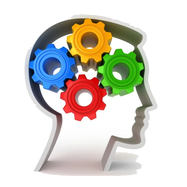 Mental Fitness Coaching